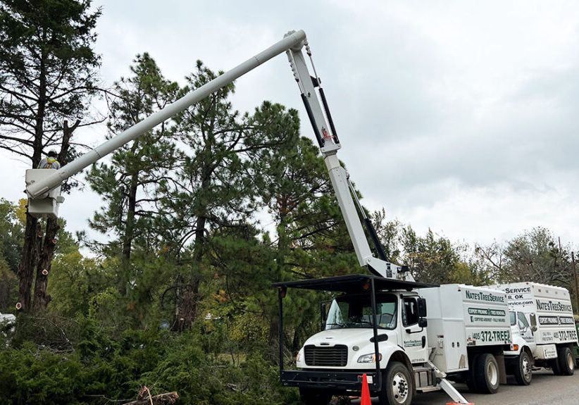 crew-clearing-water-line-installation-1024x575 crew-clearing-water-line-installation-1024x575